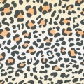 leopard_thumb_5